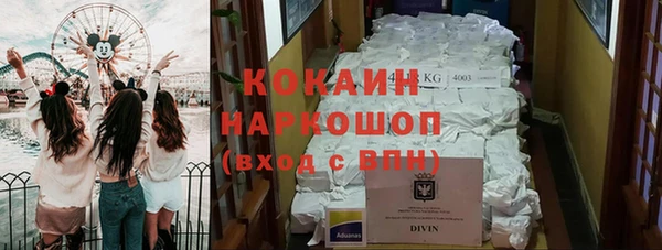 ГАЛЛЮЦИНОГЕННЫЕ ГРИБЫ Ростов